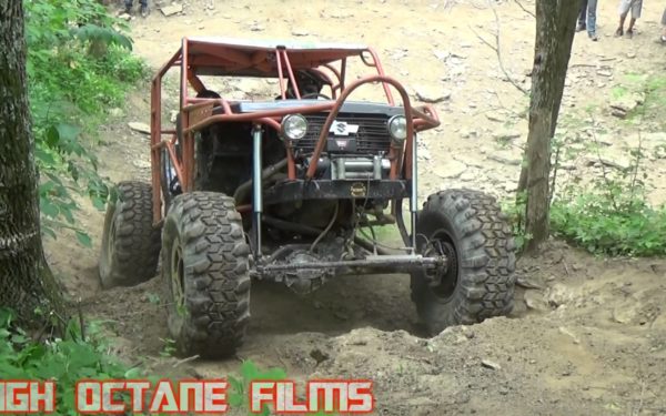 4.3 Powered Sammi Crawler Zookimelt