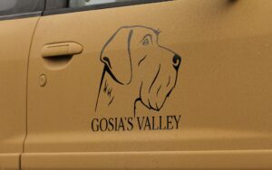 Nissan Patrol Y61 Akcesoria Off Road More 4x4 Nissan Patrol Y61 Akcesoria Off Road More 4x4