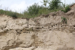 Expedycja Kaszubia – Kociewie