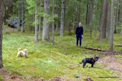 Litwa, Łotwa i&nbsp;Estonia 2018 z&nbsp;bezdroza4x4.pl