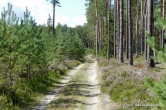 Litwa, Łotwa i&nbsp;Estonia 2018 z&nbsp;bezdroza4x4.pl