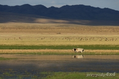 Mongolia 2017 – przygody4x4.pl