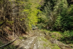 Rumunia 2017 – galeria bezasfaltu4x4.pl