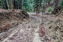Rumunia 2017 – galeria bezasfaltu4x4.pl