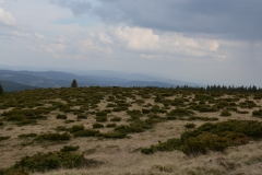 Rumunia 2017 – galeria bezasfaltu4x4.pl