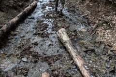 Rumunia 2017 – galeria bezasfaltu4x4.pl