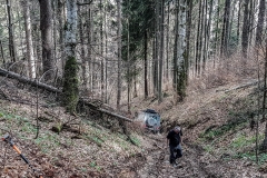 Rumunia 2017 – galeria bezasfaltu4x4.pl