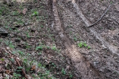 Rumunia 2017 – galeria bezasfaltu4x4.pl