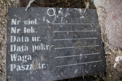 XXXIV Expedycja Kaszubia – Kraina Wiatraków / Galeria