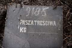 XXXIV Expedycja Kaszubia – Kraina Wiatraków / Galeria